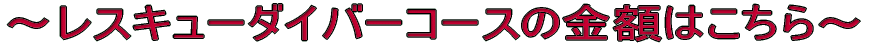 `XL[_Co[R[X̋z͂`