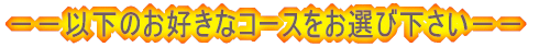||ȉ̂DȃR[XIщ||