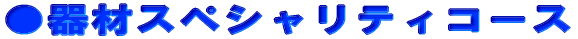 ރXyVeBR[X 