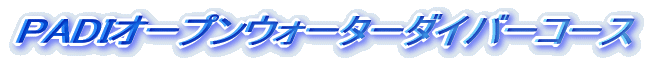 PADII[vEH[^[_Co[R[X