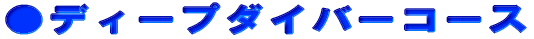 ި߃_Co[R[X 