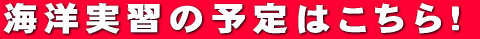 CmK̗\͂I 