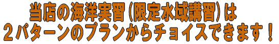 @@X̊CmK(萅uK) Qp^[̃v`CXł܂I 