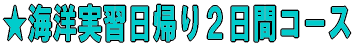CmKAQԃR[X 