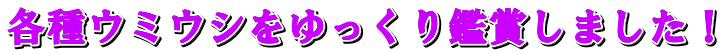 eE~EVӏ܂܂I 