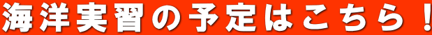 CmK̗\͂I 