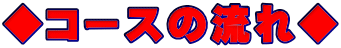 R[X̗ꁟ 